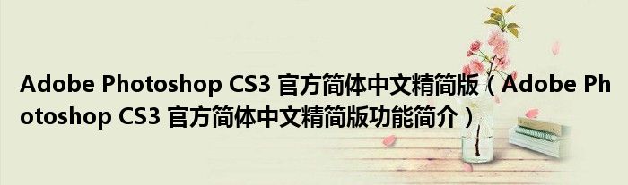 Adobe Photoshop CS3 官方简体中文精简版【Adobe Photoshop CS3 官方简体中文精简版功能简介】