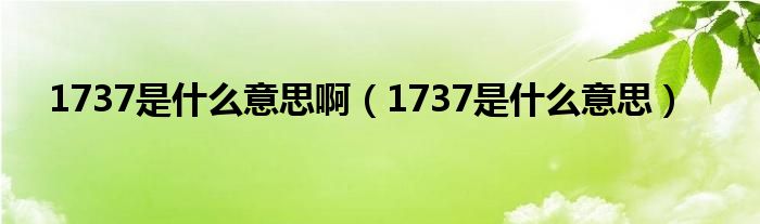 1737是什么意思啊【1737是什么意思】