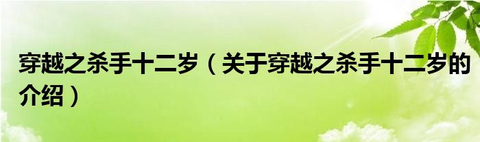 穿越之杀手十二岁【关于穿越之杀手十二岁的介绍】