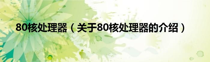 80核处理器【关于80核处理器的介绍】