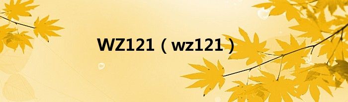 WZ121【wz121】