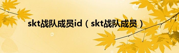 skt战队成员id【skt战队成员】