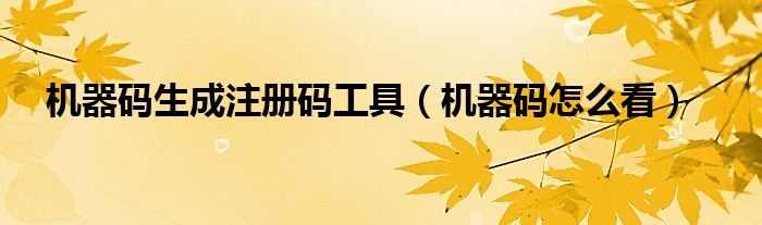 机器码生成注册码工具【机器码怎么看】