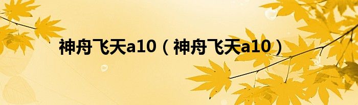 神舟飞天a10【神舟飞天a10】