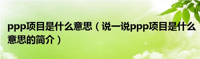 ppp项目是什么意思【说一说ppp项目是什么意思的简介】