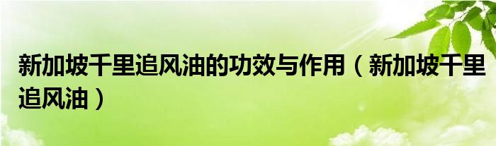 新加坡千里追风油的功效与作用【新加坡千里追风油】