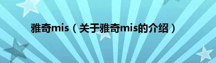 雅奇mis【关于雅奇mis的介绍】