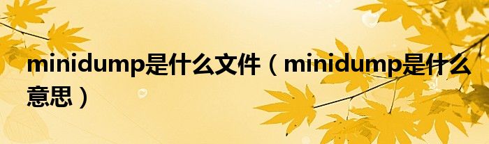 minidump是什么文件【minidump是什么意思】