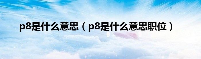 p8是什么意思【p8是什么意思职位】