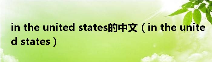 in the united states的中文【in the united states】