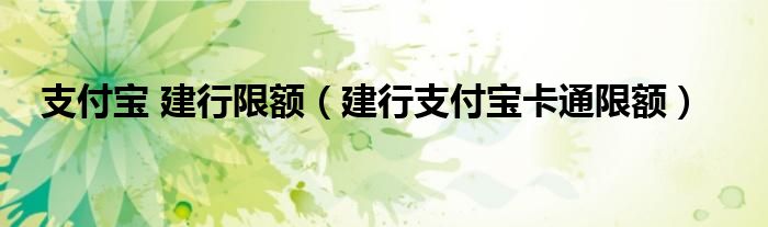 支付宝 建行限额【建行支付宝卡通限额】