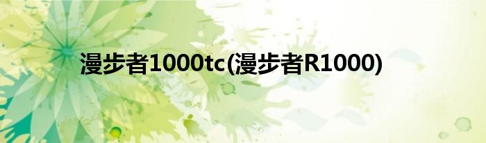 漫步者1000tc(漫步者R1000)