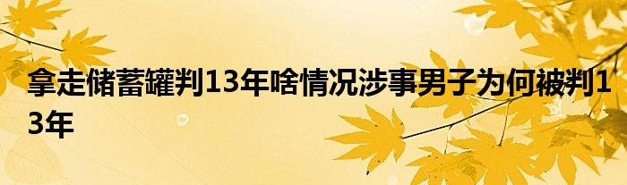 拿走储蓄罐判13年啥情况涉事男子为何被判13年