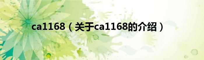 ca1168【关于ca1168的介绍】