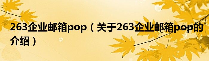 263企业邮箱pop【关于263企业邮箱pop的介绍】