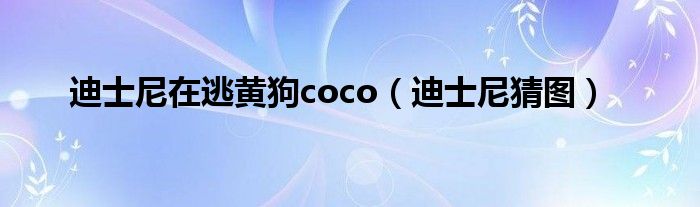 迪士尼在逃黄狗coco【迪士尼猜图】