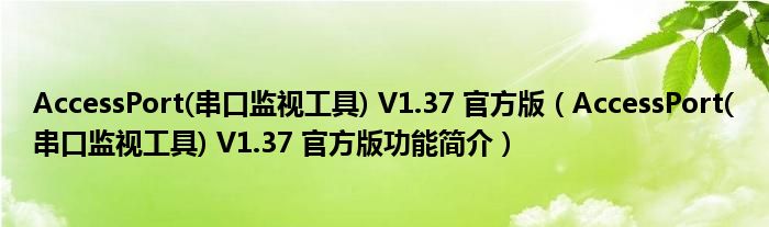 AccessPort(串口监视工具) V1.37 官方版【AccessPort(串口监视工具) V1.37 官方版功能简介】