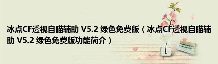 冰点CF透视自瞄辅助 V5.2 绿色免费版【冰点CF透视自瞄辅助 V5.2 绿色免费版功能简介】