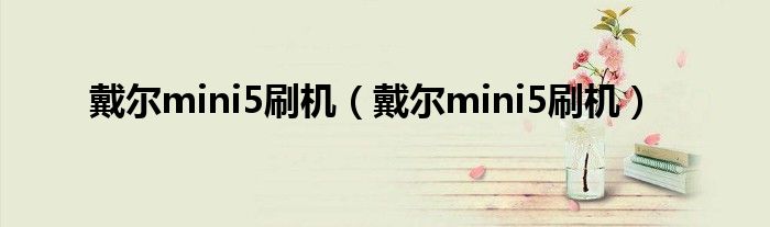 戴尔mini5刷机【戴尔mini5刷机】