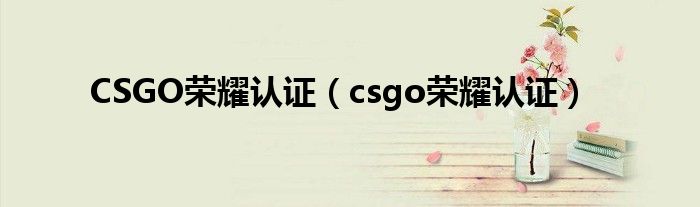 CSGO荣耀认证【csgo荣耀认证】