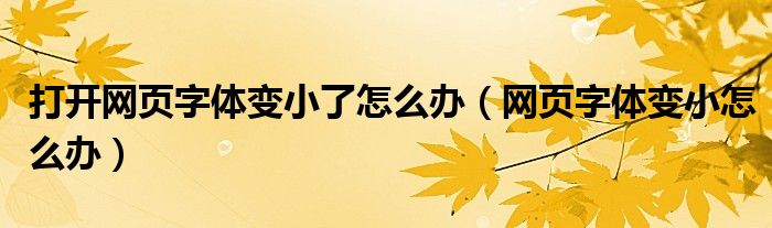 打开网页字体变小了怎么办【网页字体变小怎么办】