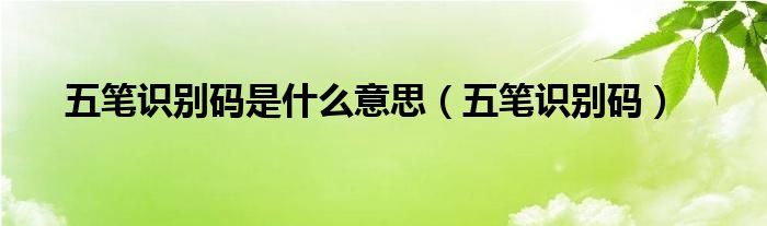 五笔识别码是什么意思【五笔识别码】