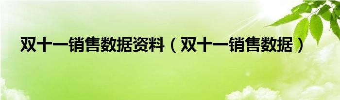 双十一销售数据资料【双十一销售数据】