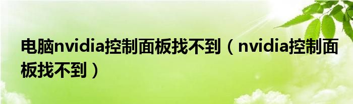 电脑nvidia控制面板找不到【nvidia控制面板找不到】