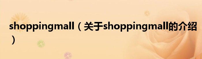 shoppingmall【关于shoppingmall的介绍】