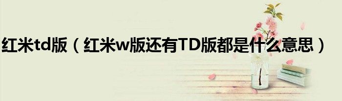 红米td版【红米w版还有TD版都是什么意思】