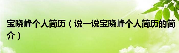 宝晓峰个人简历【说一说宝晓峰个人简历的简介】