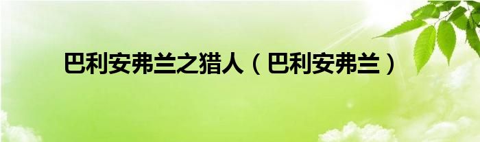 巴利安弗兰之猎人【巴利安弗兰】