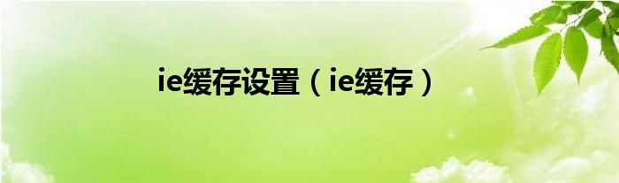 ie缓存设置【ie缓存】