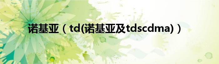 诺基亚【td(诺基亚及tdscdma)】