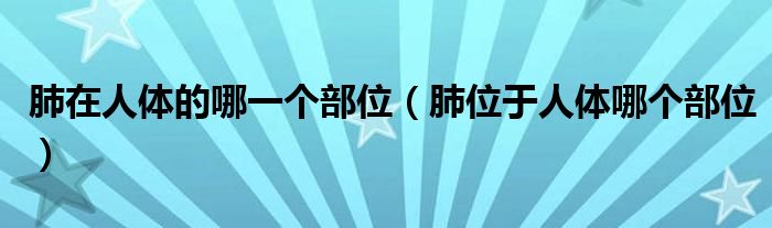 肺在人体的哪一个部位【肺位于人体哪个部位】