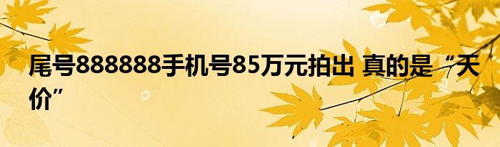 尾号888888手机号85万元拍出 真的是“天价”