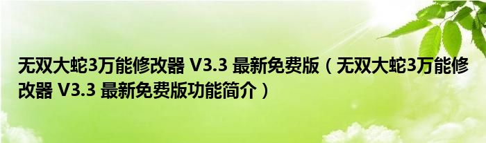 无双大蛇3万能修改器 V3.3 最新免费版【无双大蛇3万能修改器 V3.3 最新免费版功能简介】