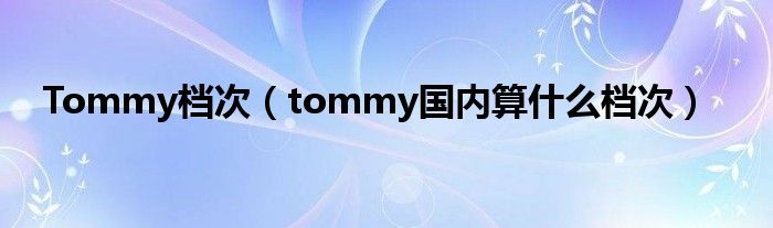 Tommy档次【tommy国内算什么档次】