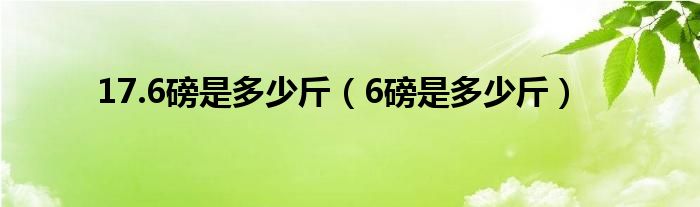 17.6磅是多少斤【6磅是多少斤】