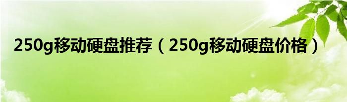 250g移动硬盘推荐【250g移动硬盘价格】