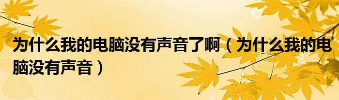 为什么我的电脑没有声音了啊【为什么我的电脑没有声音】