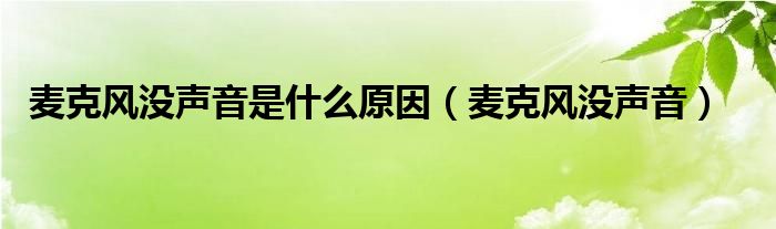 麦克风没声音是什么原因【麦克风没声音】