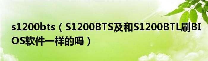 s1200bts【S1200BTS及和S1200BTL刷BIOS软件一样的吗】