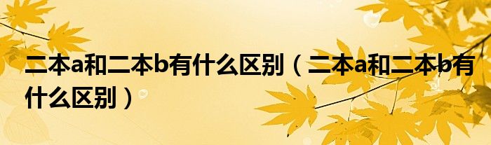 二本a和二本b有什么区别【二本a和二本b有什么区别】