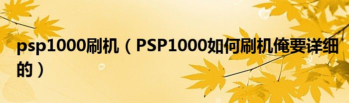 psp1000刷机【PSP1000如何刷机俺要详细的】