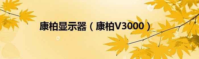 康柏显示器【康柏V3000】