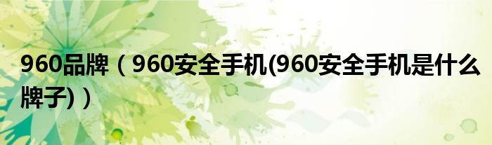 960品牌【960安全手机(960安全手机是什么牌子)】