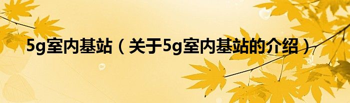 5g室内基站【关于5g室内基站的介绍】