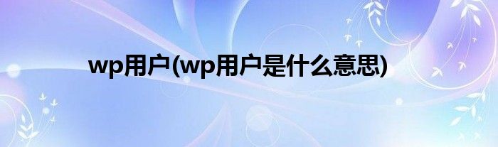 wp用户(wp用户是什么意思)