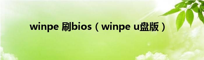 winpe 刷bios【winpe u盘版】